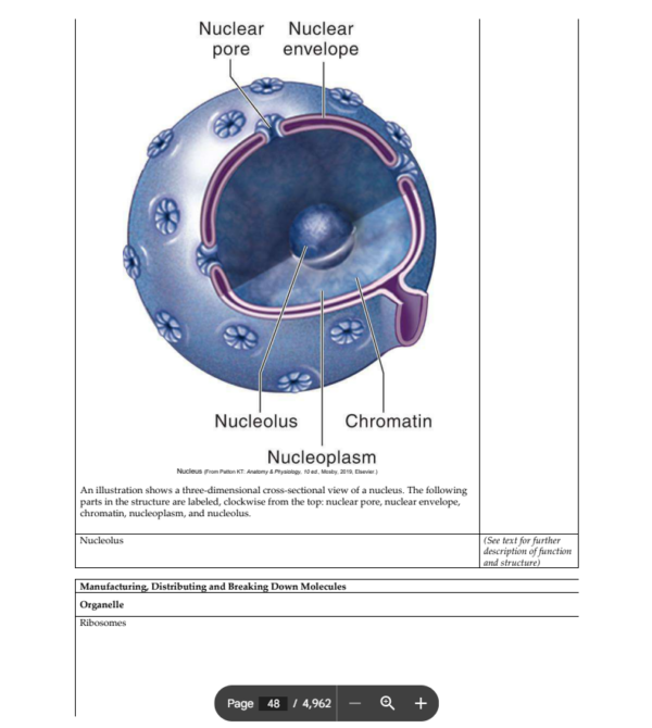 Pathophysiology 9th edition (PDF Instant Download) - Image 4