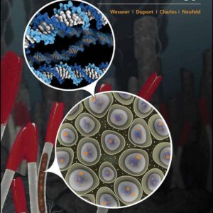 Microbiology, 2nd Edition (PDF Instant download)