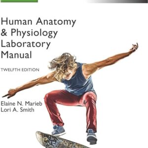 human anatomy & physiology laboratory manual 12th edition (PDF Instant Download)