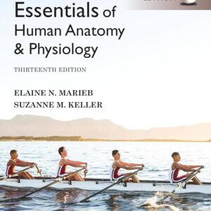 Essentials of Human Anatomy & Physiology, 13th edition (PDF Instant Download)